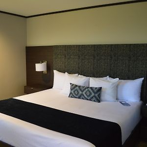 Habitación Executive con Cama King